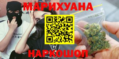 сатива Бузулук