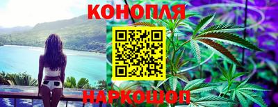 сатива Бузулук