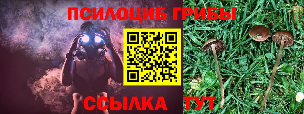 Хабаровск  Галлюциногенные грибы GOLDEN TEACHER  Вход с VPN 