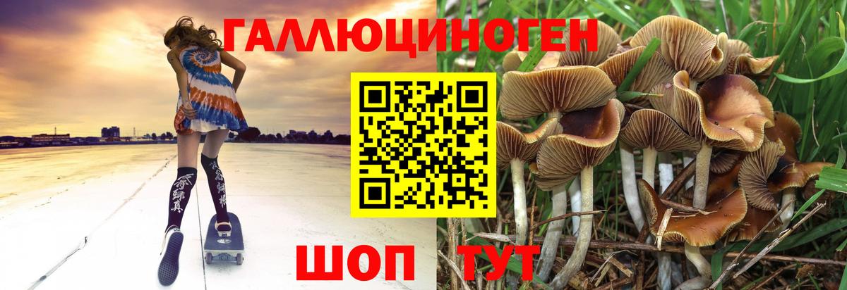 Псилоцибиновые грибы мухоморы Хабаровск
